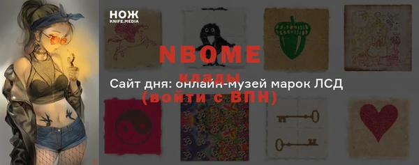 PSILOCYBIN Алзамай