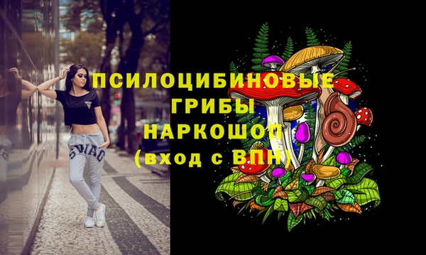 не бодяженный Абаза