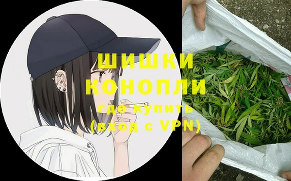 шишки Алексин