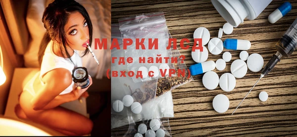 PSILOCYBIN Алзамай