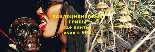 дмт Алексеевка