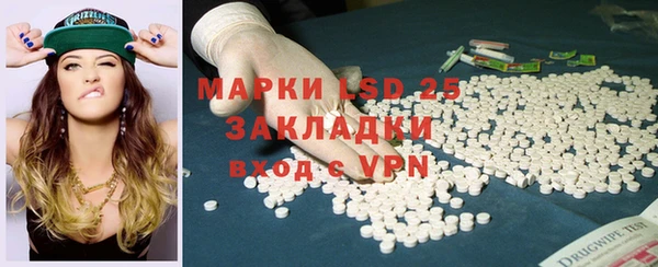 шишки Алексин