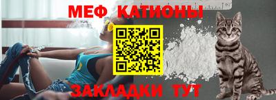 стаф Гай