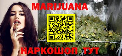 стаф Гай