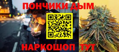 стаф Гай