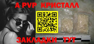 стаф Гай