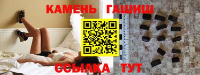 стаф Гай