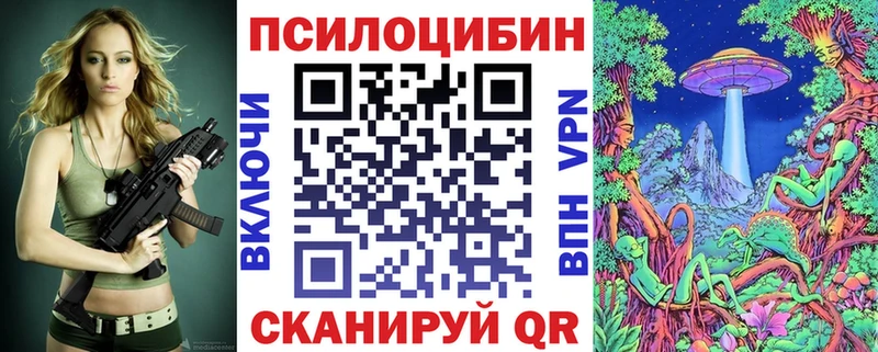 где купить наркоту  Минусинск  Галлюциногенные грибы прущие грибы 
