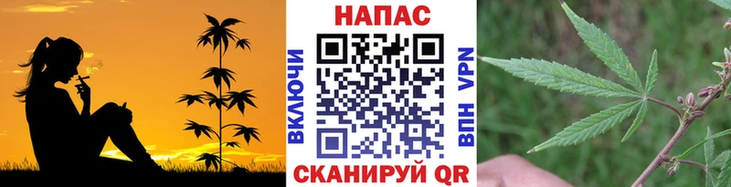 Конопля гибрид  купить   Минусинск 